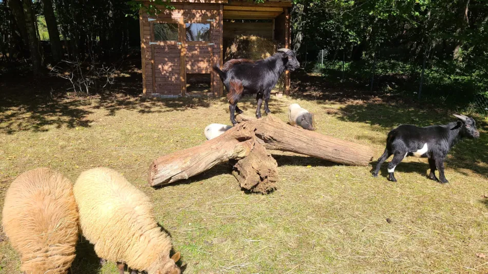 Camping Le Domaine du Bois Coquet