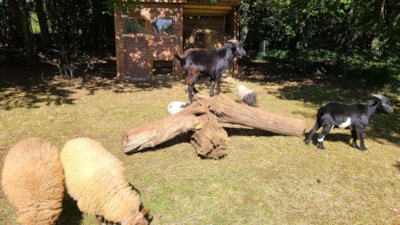 Camping Le Domaine du Bois Coquet