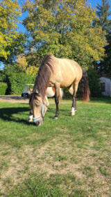 Foto #53 van Camping Le Domaine du Bois Coquet