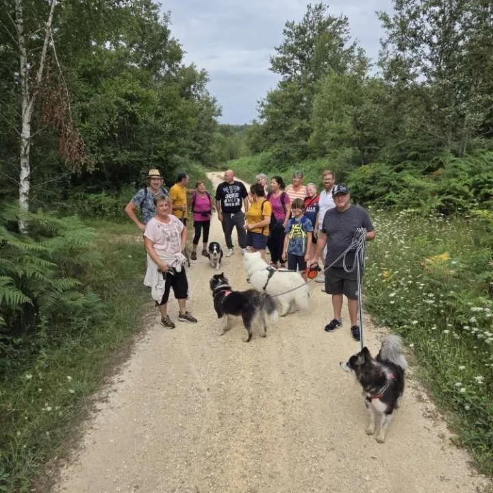 Camping Le Domaine du Bois Coquet