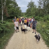 Foto #37 van Camping Le Domaine du Bois Coquet