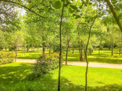 Camping package — 10