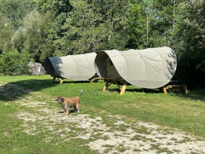 UNUSUAL: Tent on stilts + built-in table and 2 benches + top-mounted refrigerator