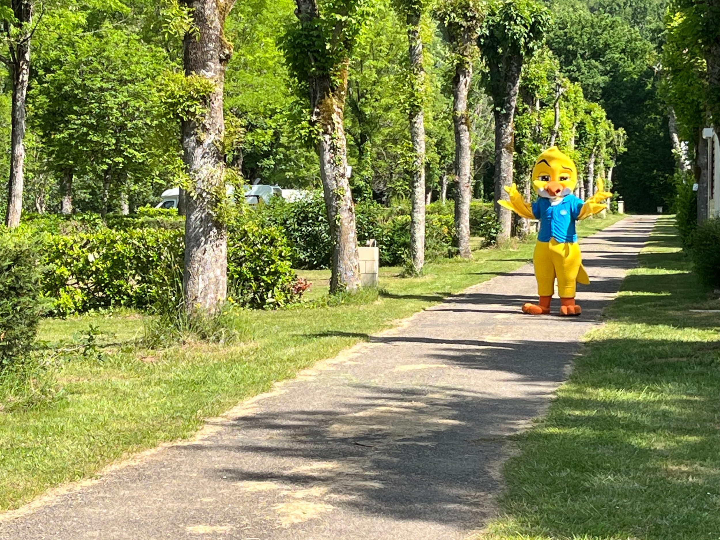 CAMPING Paradis Le Rocher DE LA Granelle — Photo 2