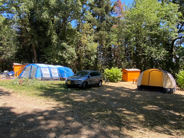 Pitch - Pitch Premium : Car + Tent Or Caravan + Electricity - Camping Lestaubière