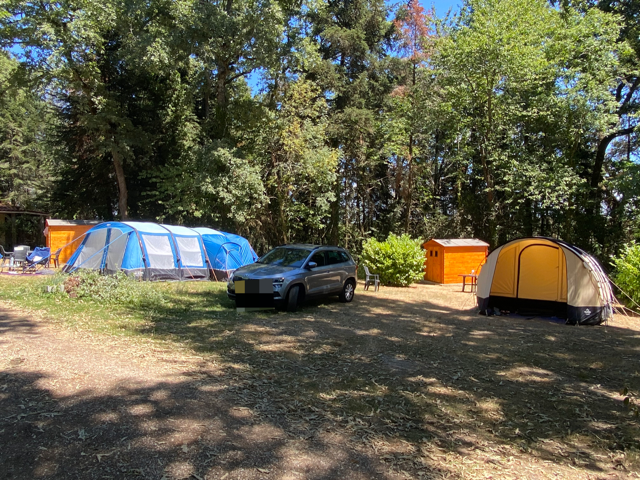 Stellplatz PREMIUM : Auto + Zelt oder Wohnwagen + Strom