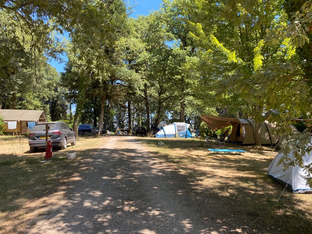 Pitch - Pitch : Car + Tent Or Caravan - Camping Lestaubière