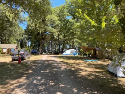 Parcela : Coche + Tienda O Caravana