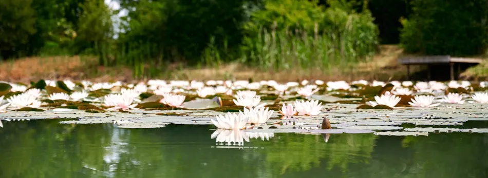 Camping Lestaubière