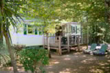 Mobilhome Confort (Tv) Mobilhome Confort (Tv)