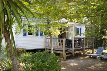 Mietunterkunft - Mobilheim Resort - 30 M² - 3 Schlafzimmer  - Tv - Clico Chic - Camping  la Linotte