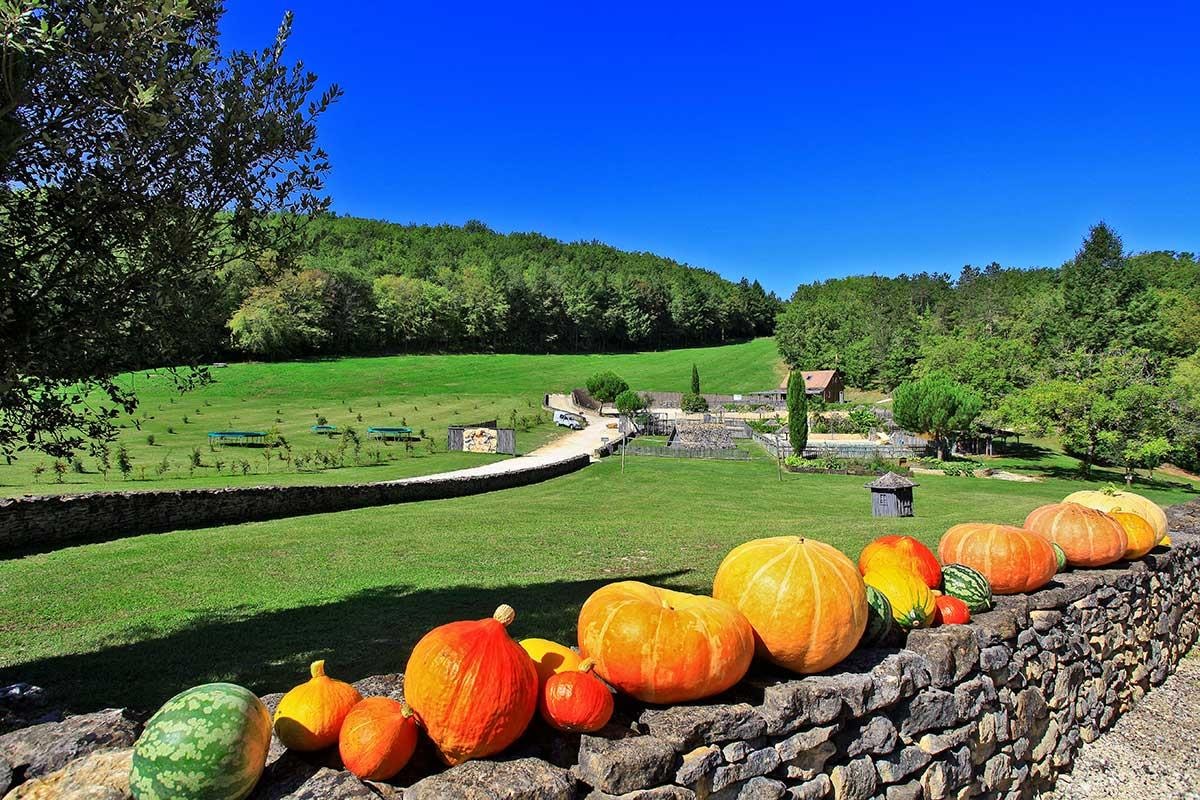 Domaine Périgord Vacances — Photo 2