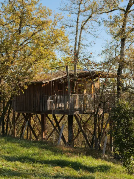 Accommodation - Wooden Cabin L'esteleta - Domaine Périgord Vacances