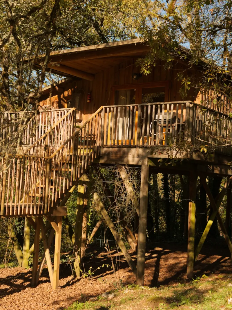 Cabane Lou Arbrilhon