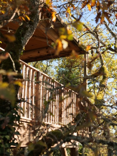 Wooden cabin La luna vaira