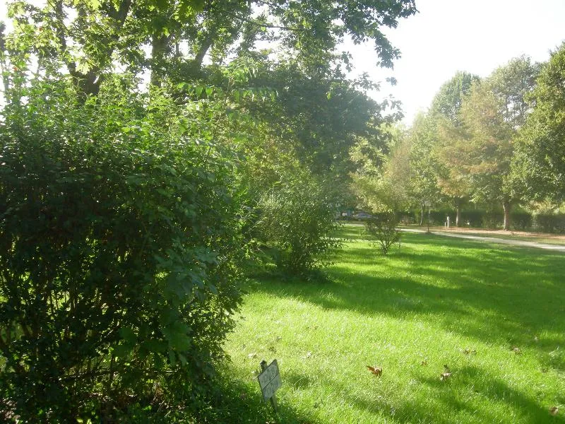 Emplacement Avec 1 Voiture