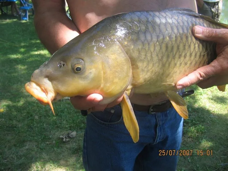 Camping Le Roc de Lavandre - image n°10 - UniversalBooking