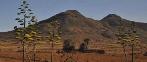 Camping Cabo de Gata