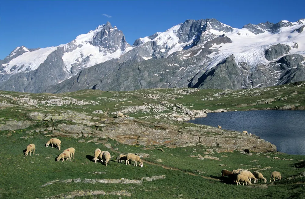 Camping Alpes Dauphiné