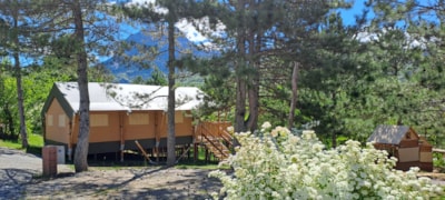 Lodge Tent Prestige Plus - 2 Bedrooms - 1 Bathroom - 35m²