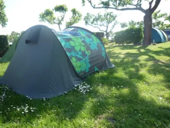Stellplatz - Stellplatz Standard Ohne Strom - Camping UR-ONEA