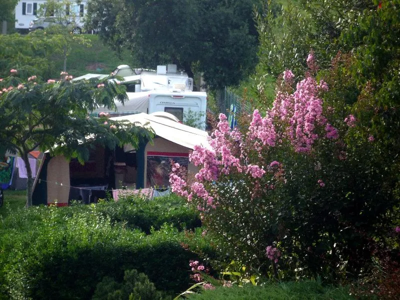 Emplacement Confort Avec Électricité 10A