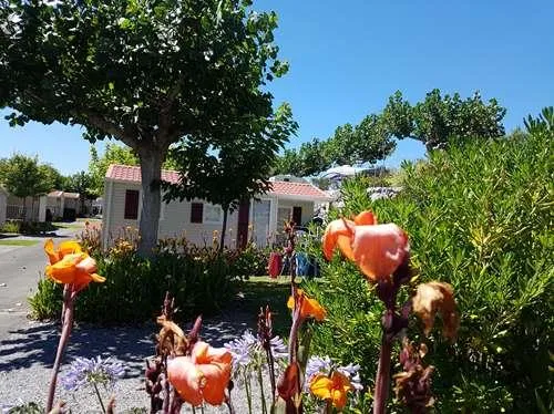 Mobil-Home Iris Special Couple