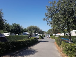 Camping UR-ONEA - image n°7 - Roulottes
