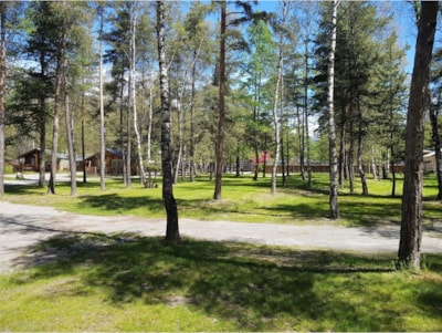 Standard pitch - 80 to 100 m²