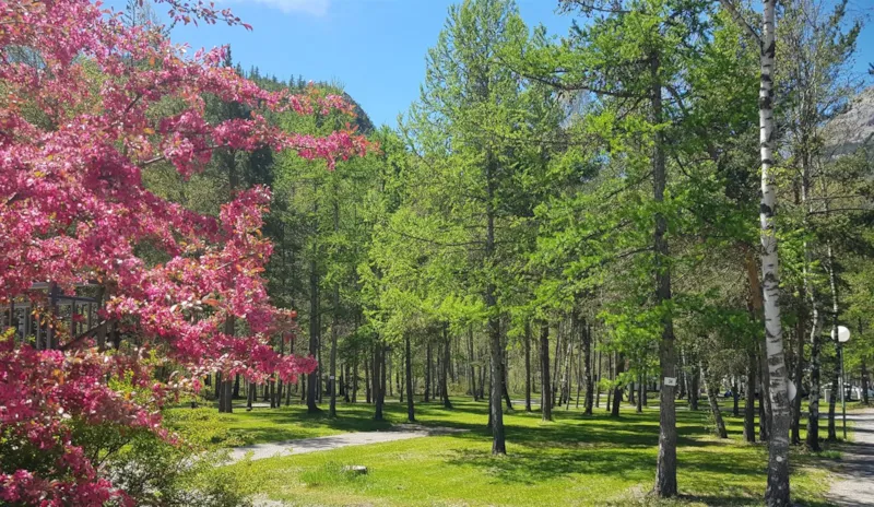 Emplacement Confort - Plus De 100 M²