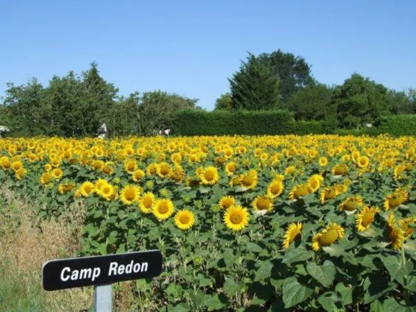 Camp Redon
