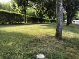 Foto #17 van Camping Municipal Le Bourniou