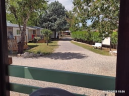 Camping l'Olivier - image n°7 - Roulottes