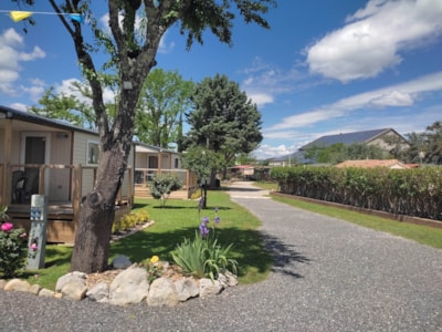 Camping l'Olivier