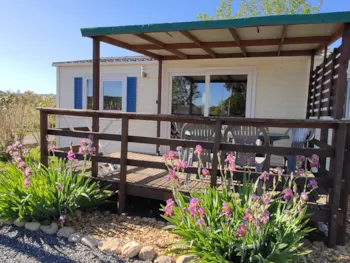 Accommodation - Comfort Mobile Homes 3 Bedrooms - Camping l'Olivier