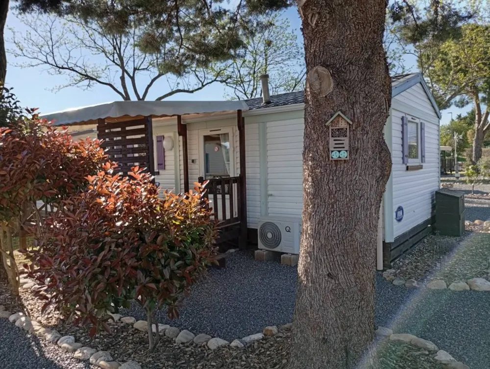 Accommodation - Comfort Mobile Homes 2 Bedrooms - Camping l'Olivier