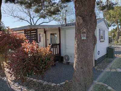 Comfort Mobile Homes 2 bedrooms — 1