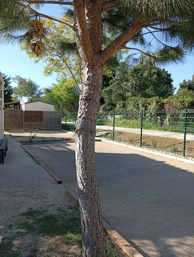 Mobil-Home Confort+ 3 Chambres