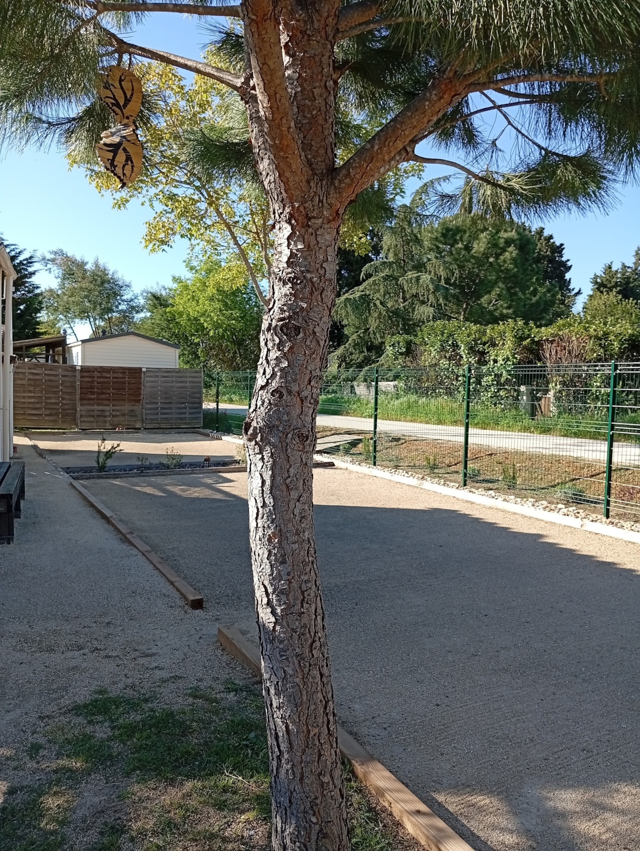 Camping l'Olivier