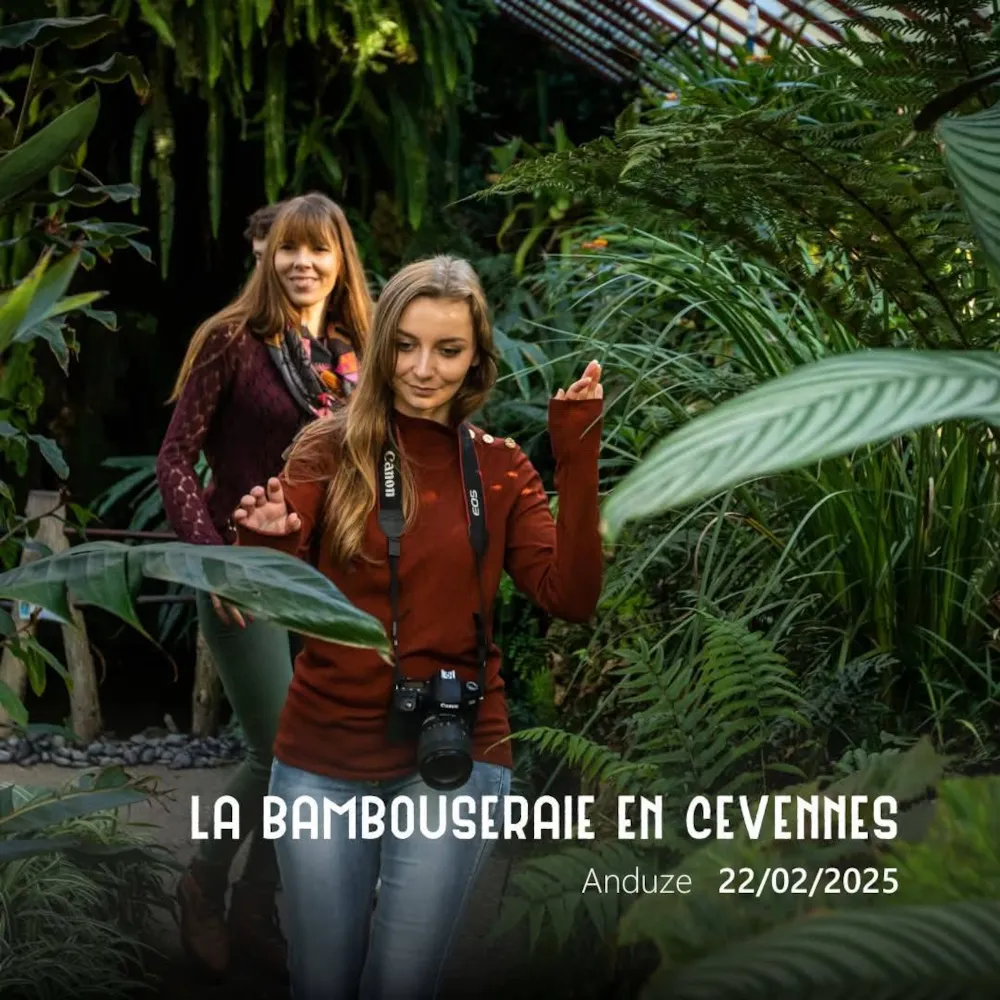 Camping l'Olivier - image n°29 - UniversalBooking