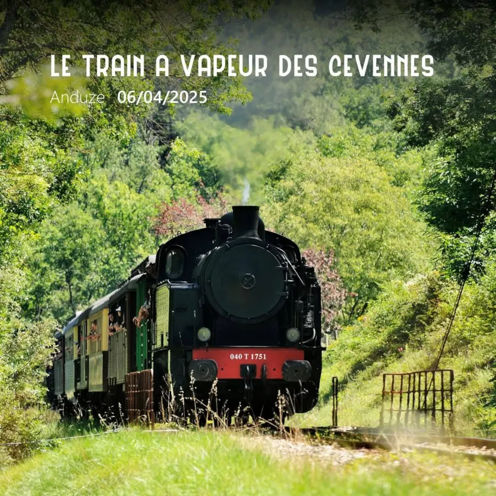 Camping l'Olivier - image n°31 - UniversalBooking