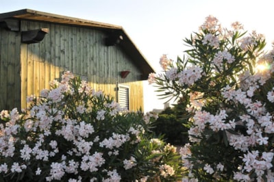 COTTAGE — 4