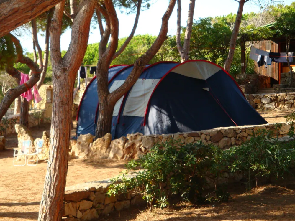 Pitch large tent + 1 parking