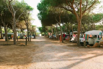 Stellplatz - Stellplatz Wohnwagen + Parking - Camping Village Glamping Torre del Porticciolo