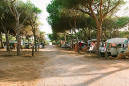 Emplacement - Emplacement Caravane + Parking - Camping Village Glamping Torre del Porticciolo