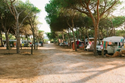 Pitch: camping-car — 2