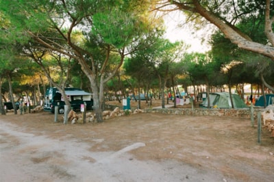 Camping Village Glamping Torre del Porticciolo