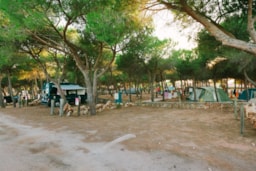 Camping Village Glamping Torre del Porticciolo - image n°4 - Roulottes