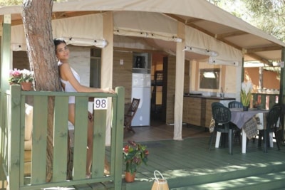 LODGE TENT SAFARI — 1