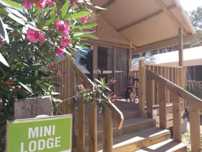 LODGE TENT MINI — 1
